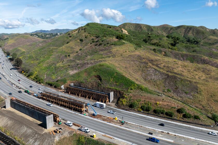 Agoura Hills, CA - April 15: Lane closures on the 101 Freeway through Agoura Hills begin Monday night for the next phase of what is being described as the world's largest wildlife crossing. All lanes on the freeway will be shut down for several hours each night between Liberty Canyon Road and Chesebro Road so crews can lift the concrete beams that will form the span over the freeway for the Wallis Annenberg Wildlife Crossing. Caltrans posted Sunday night that the closures will take place Monday through Friday between 11 p.m. and 4 a.m. for the next several weeks. Photographed on Monday, April 15, 2024 in Agoura Hills, CA. (Brian van der Brug / Los Angeles Times)