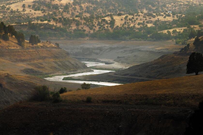 HORNBROOK, CA - AUGUST 14, 2024: Since the removal of two dams, the Klamath River is free flowing and has returned to its historic channel - something that hasn't been seen for more than a century on August 14, 2024 in Hornbrook, California. (Gina Ferazzi / Los Angeles Times)