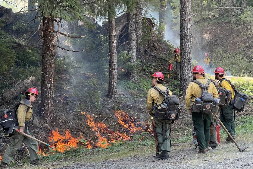 Members of the Redding Hotshots crew work the Willamette Complex fire near Oakridge, Ore.