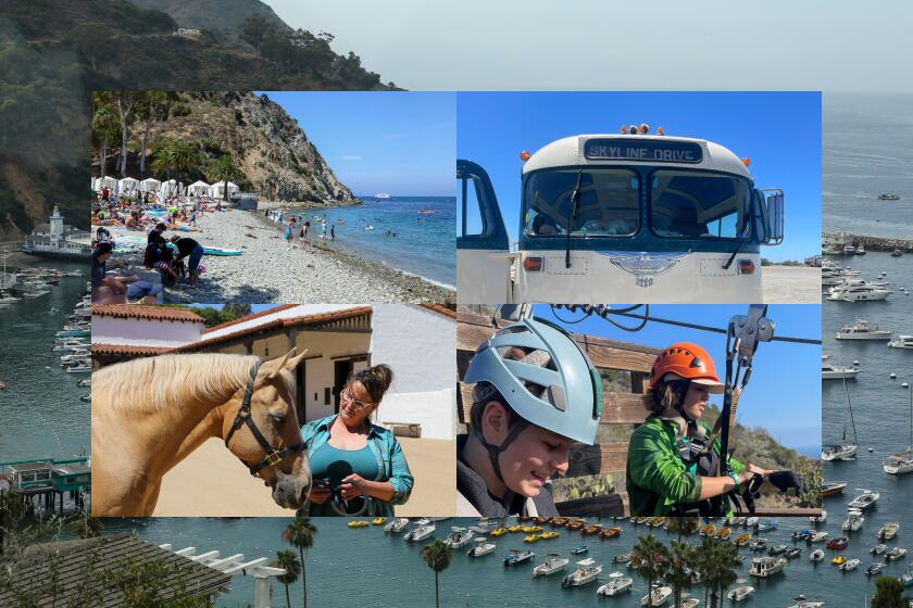 montage of photos of Catalina Island, a woman with a horse, people zip lining, and a bus