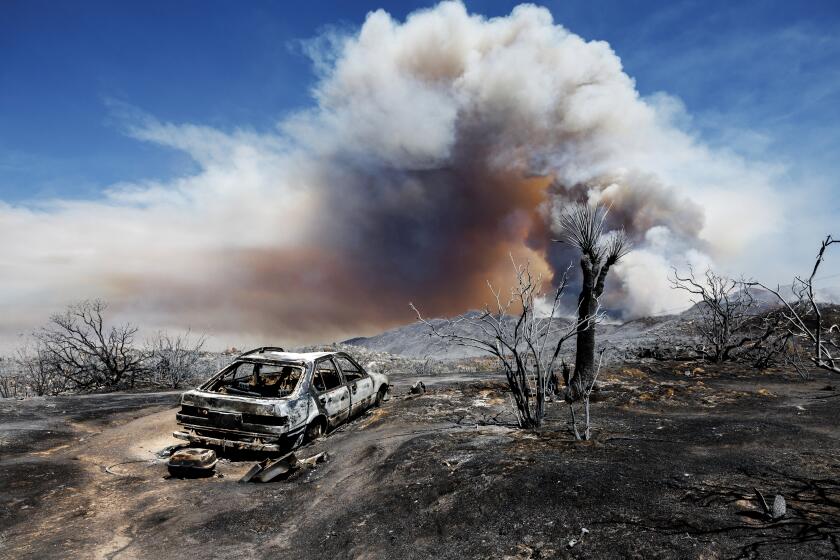 AGUANGA, CA - JULY 30, 2024: The plume from the Nixon fire burns over Beauty Mountain and has left 4,500 acres of burned landscape in its path on July 30, 2024 in Aguanga, California.(Gina Ferazzi / Los Angeles Times)