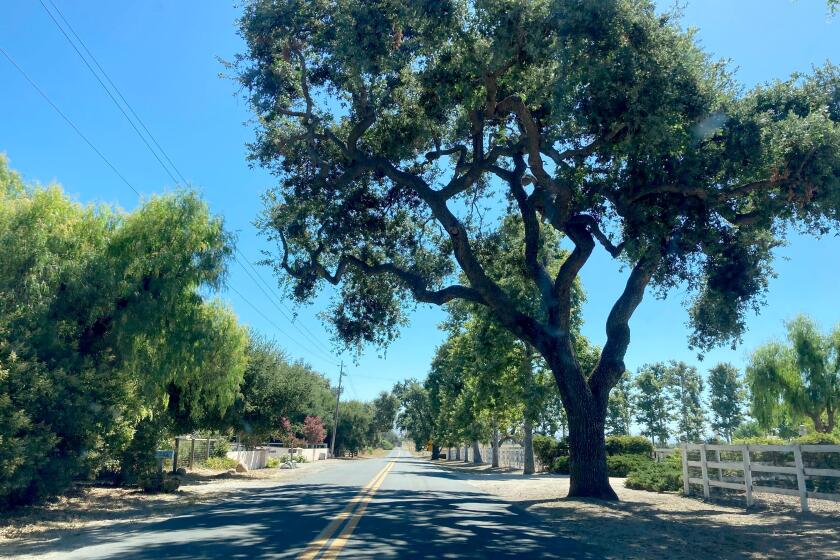 Biden is staying at the estate of billionaire Democratic donor Joe Kiani. The estate is a working organic vineyard that grows cabernet sauvignon and shiraz grapes.